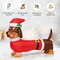 Costway 5 FT Inflatable Christmas Dog w/ LED Lights Blow Up Outdoor Yard Lawn Decoration